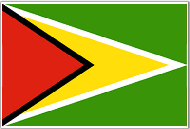 Gujana flaga