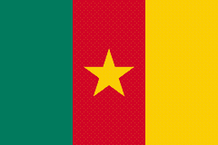 Kamerun flaga